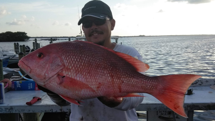 Deep Sea Fishing Fort Myers and Cape Coral